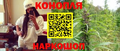 Альфа ПВП Волгодонск