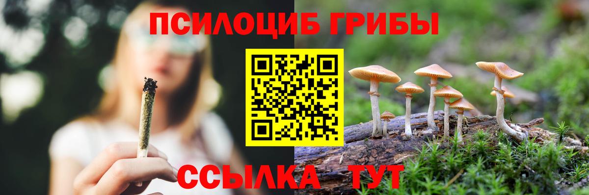 Галлюциногенные грибы Psilocybine cubensis  Псилоцибиновые грибы MAGIC MUSHROOMS  Вход с VPN  Новосибирск 